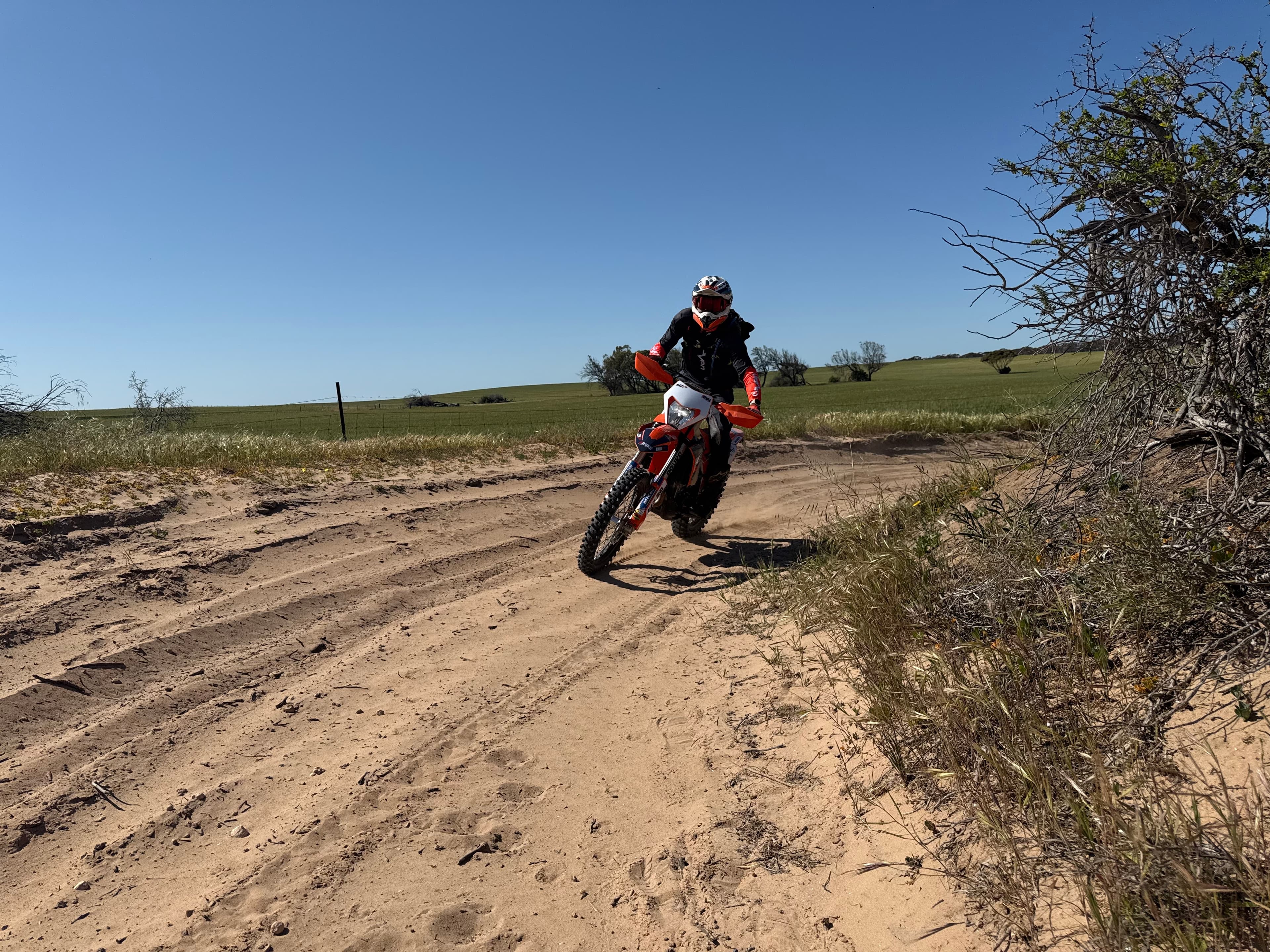 Notso_FastEddie hero banner